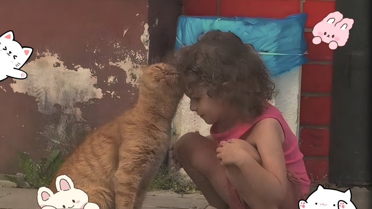 When Cats Meet Kids: The Cutest Friendship Ever 💕🐱👶