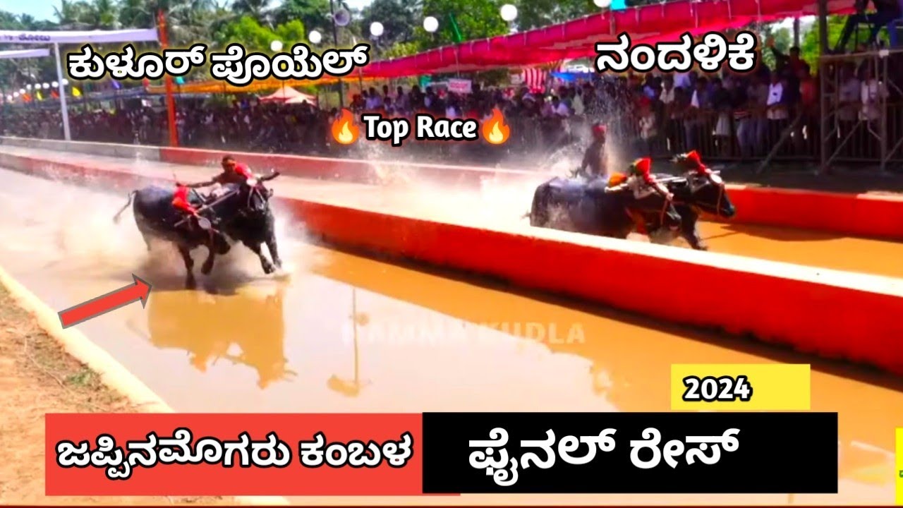 ಜಪ್ಪಿನಮೊಗರು ಕಂಬಳ ಫೈನಲ್ ರೇಸ್ 2024|| Jappinamogaru kambala Final Race 🔥