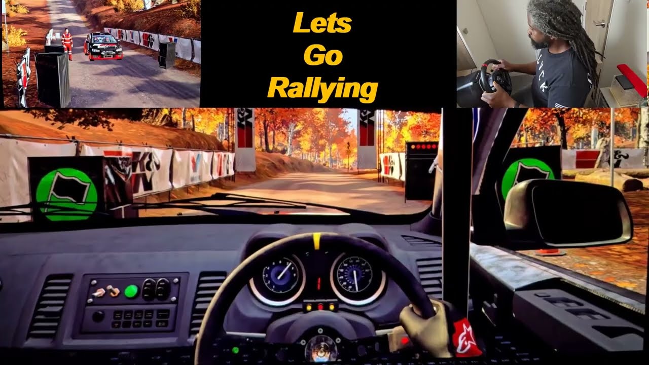 Thinking You're Not Going To Make It To The End Of The Rally Stage #gaming #rally