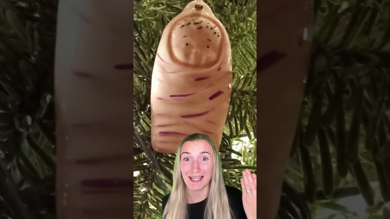 Christmas FAILS So BAD It&rsquo;s FUNNY!😂