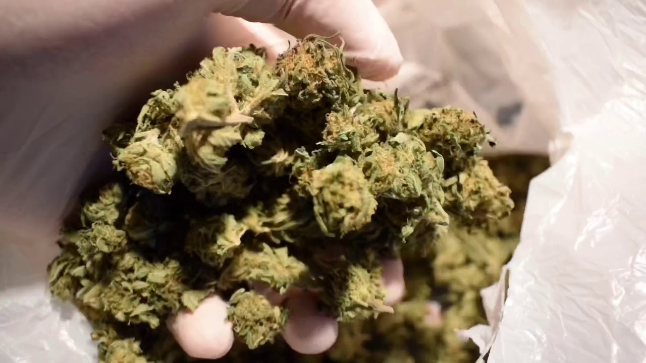 ERIK TRESOR - Furt |Official Video| 🔞🔞