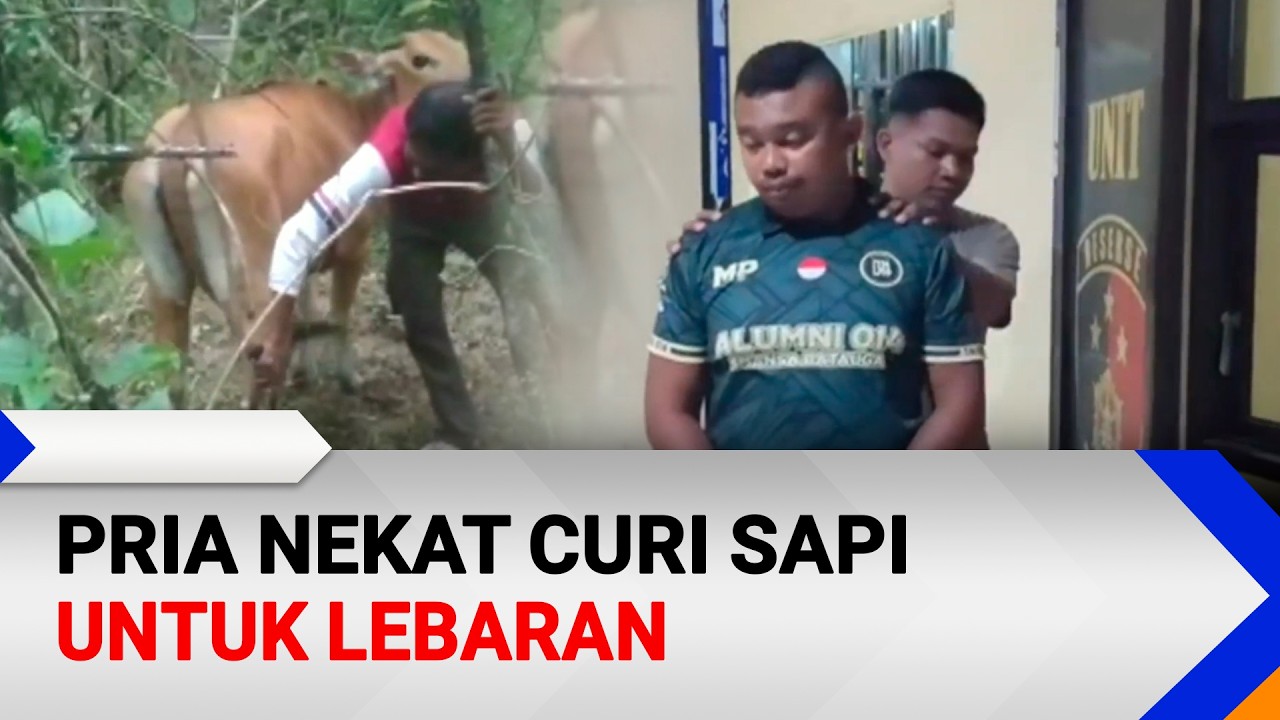 Pria Nekat Curi Sapi untuk Lebaran | Patroli