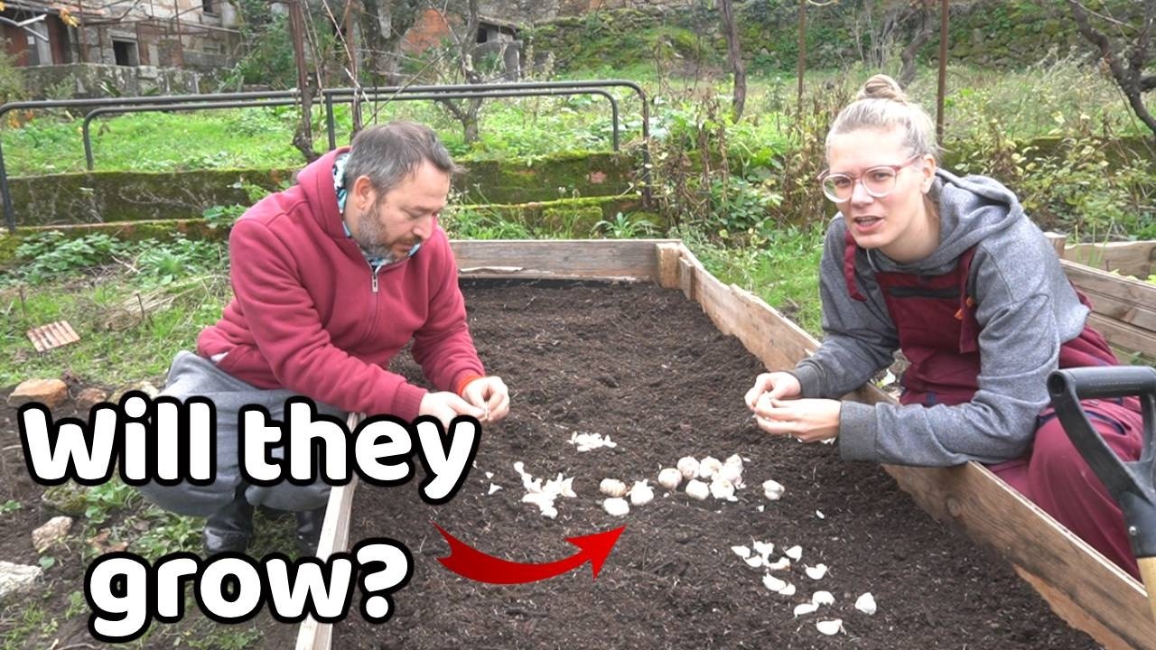 Tackling 5 winter tasks around the homestead in Portugal