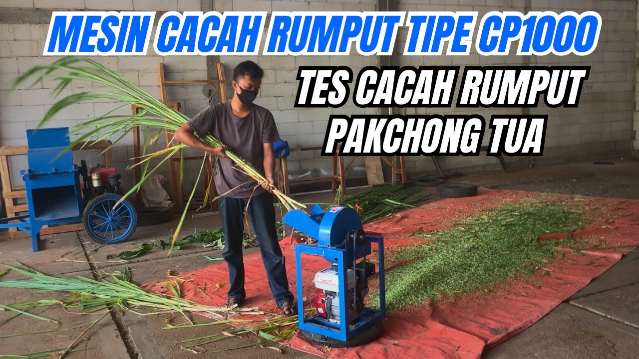 Hasil Cacahan Halus Harga Cuma 1Juta 700rb Mesin Coper Rumput CP1000 #mesincacahrumput 