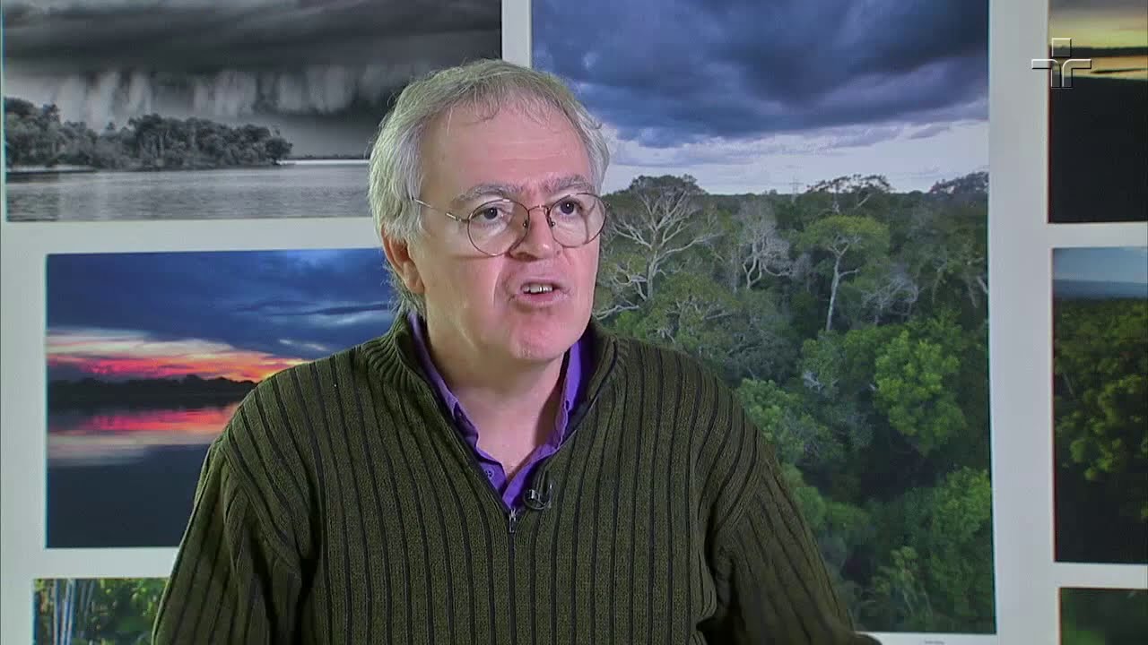 'Rios voadores': fenômeno natural leva umidade da Floresta Amazônica para outras regiões
