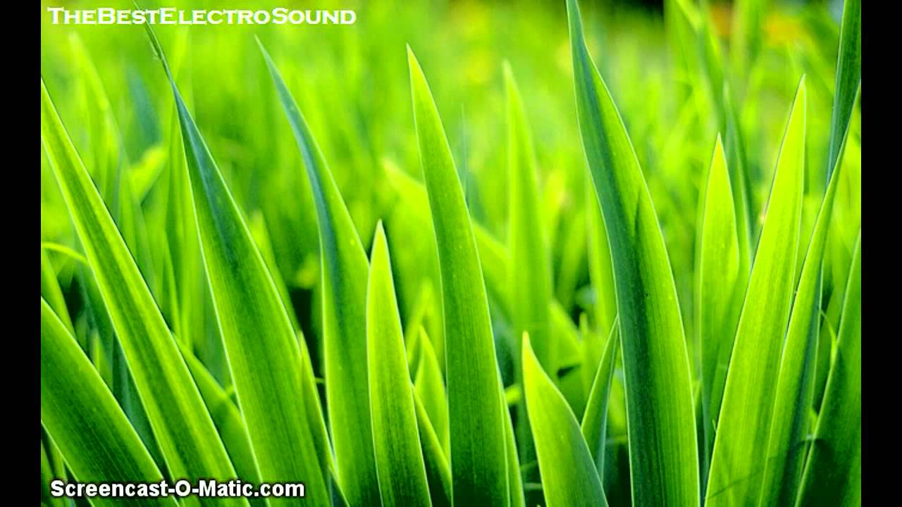 Delerty - The Bizz Electro (Original Mix) [HD]