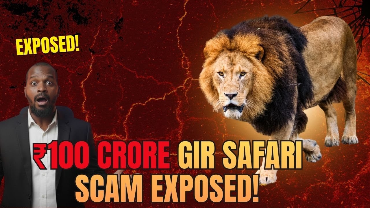 100cr scam  Gir Safari Scam Exposed  | Gujarat news |   Wildlife Tourism Fraud Alert! | cyber crime