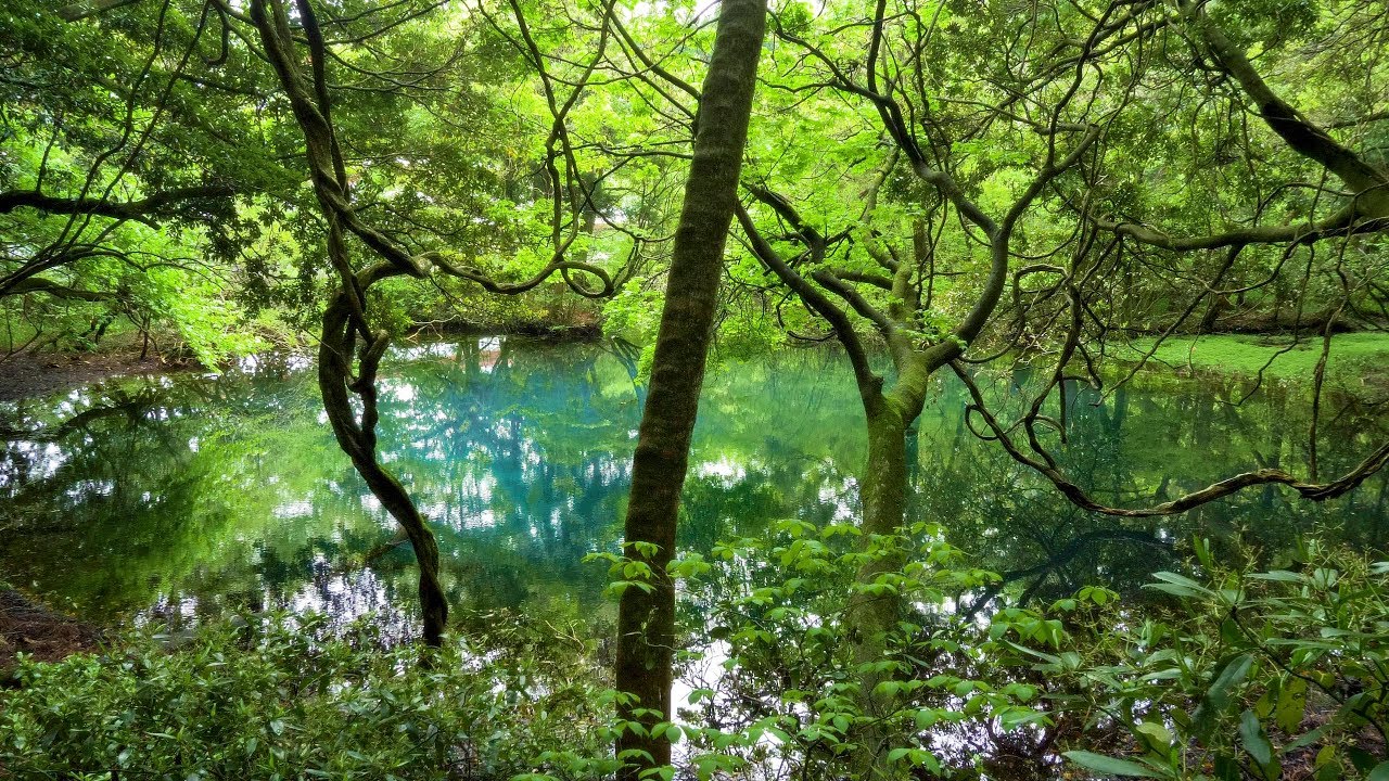 [ 4K UHD ]鳥海山･飛島ジオパーク:神秘の泉「丸池様」:Mysterious Fountain’Maru-ike-sama’shot on GH5 with Gimbal