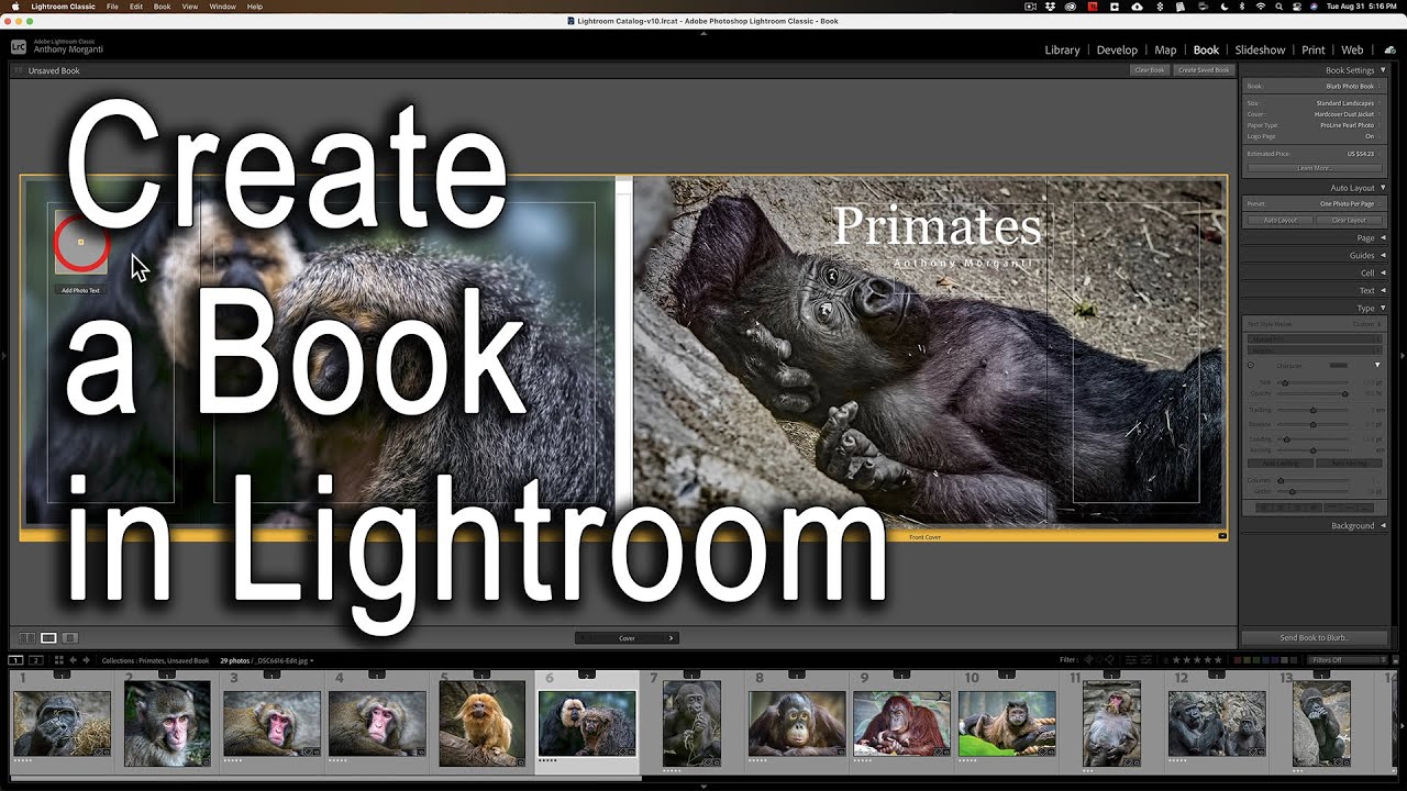 МАСТЕР-КЛАСС ПО СОЗДАНИЮ КНИГИ в Lightroom