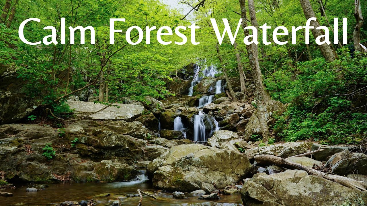 Calm Forest Waterfall | Healing Water Sounds for Deep Rest & Relaxation