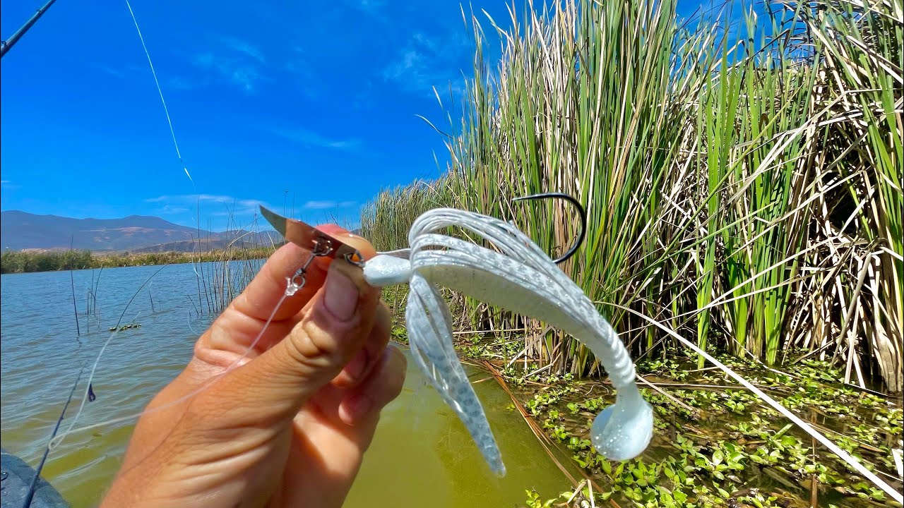 El Señuelo MÁS EFECTIVO Para Pescar en Lagunas!