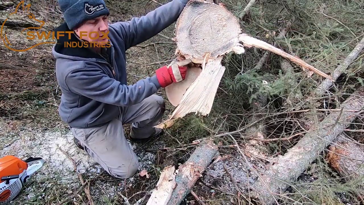 TMK 300 Tree Shear Harvesting Saw Logs, NO CRACKING!