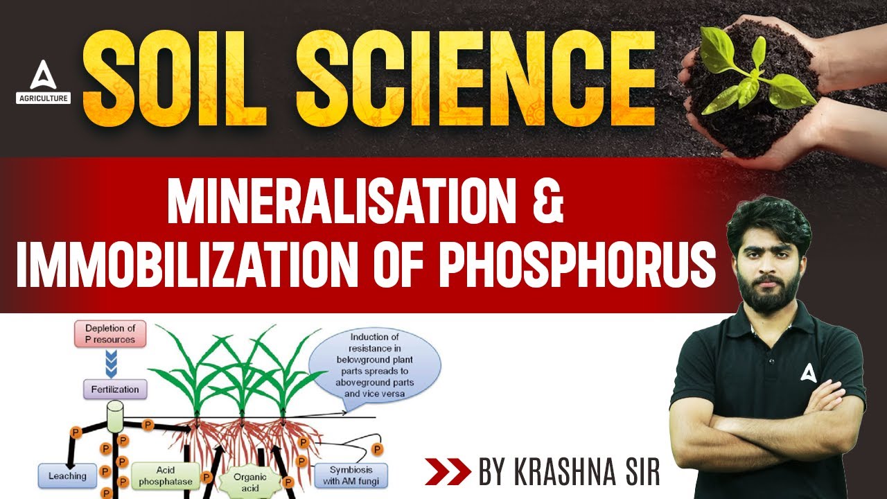 Mineralization & Immobilization of Phosphorus | Soil Science | Short Concepts | By Krashna Sir