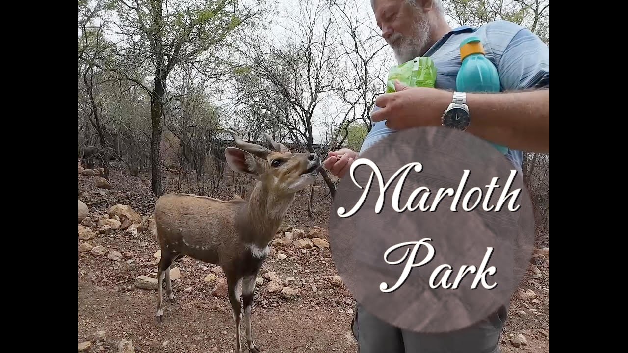 Marloth Park in Mpumalanga. A holiday village for bush and wildlife lovers.