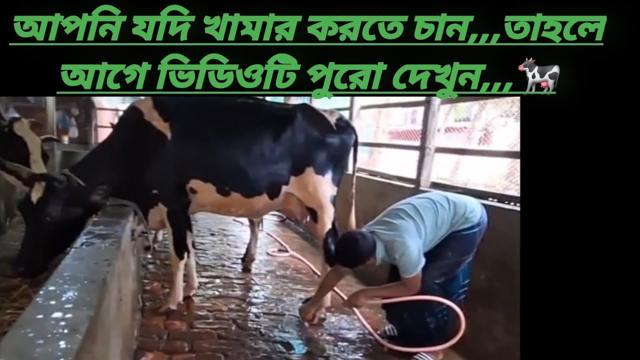 আপনি যদি খামার করতে চান,,,তাহলে আগে ভিডিওটি পুরো দেখুন,,,🐄 