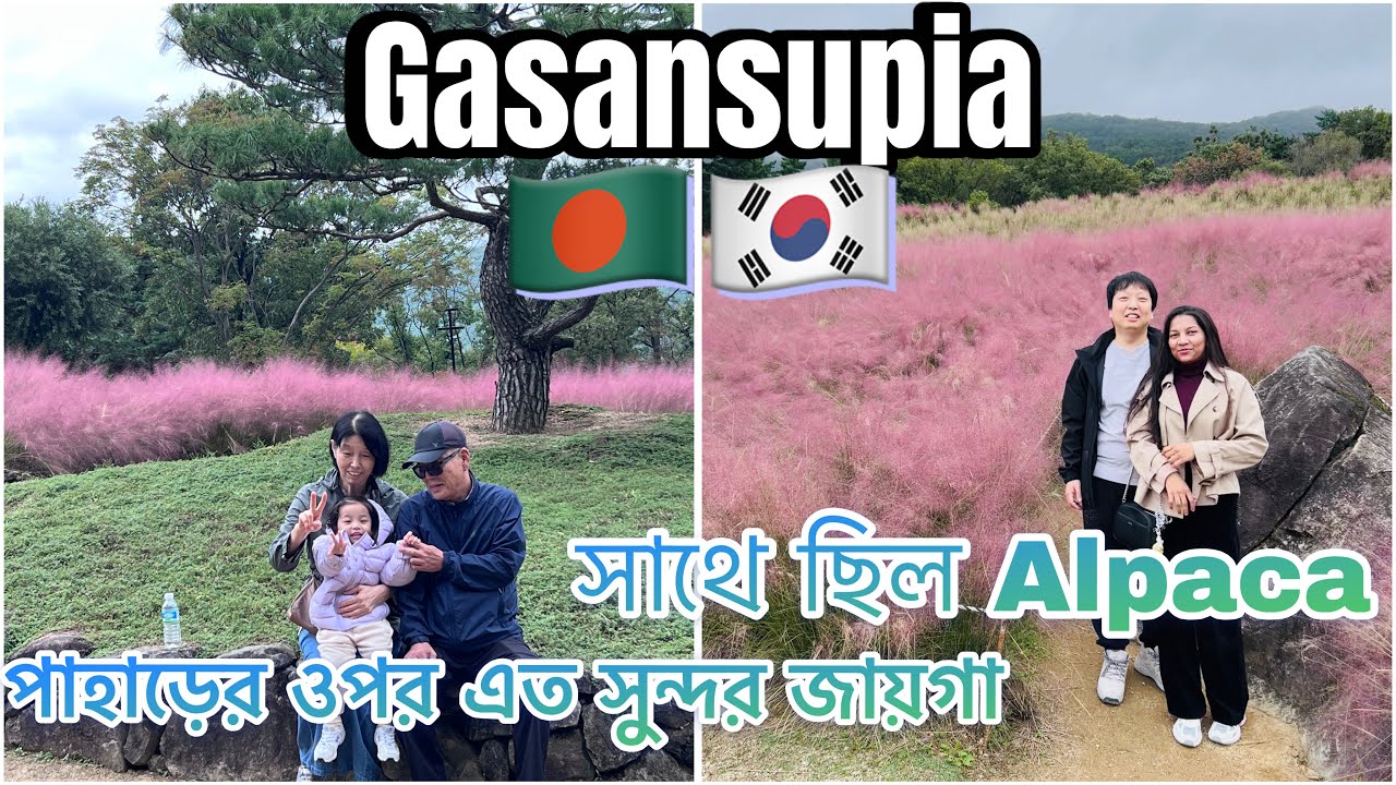 🇧🇩🇰🇷 Gasansupia| পাহাড়ের ওপর এত সুন্দর জায়গা সাথে ছিল Alpaca #gasansupia #alpaca #vlog #southkorea 