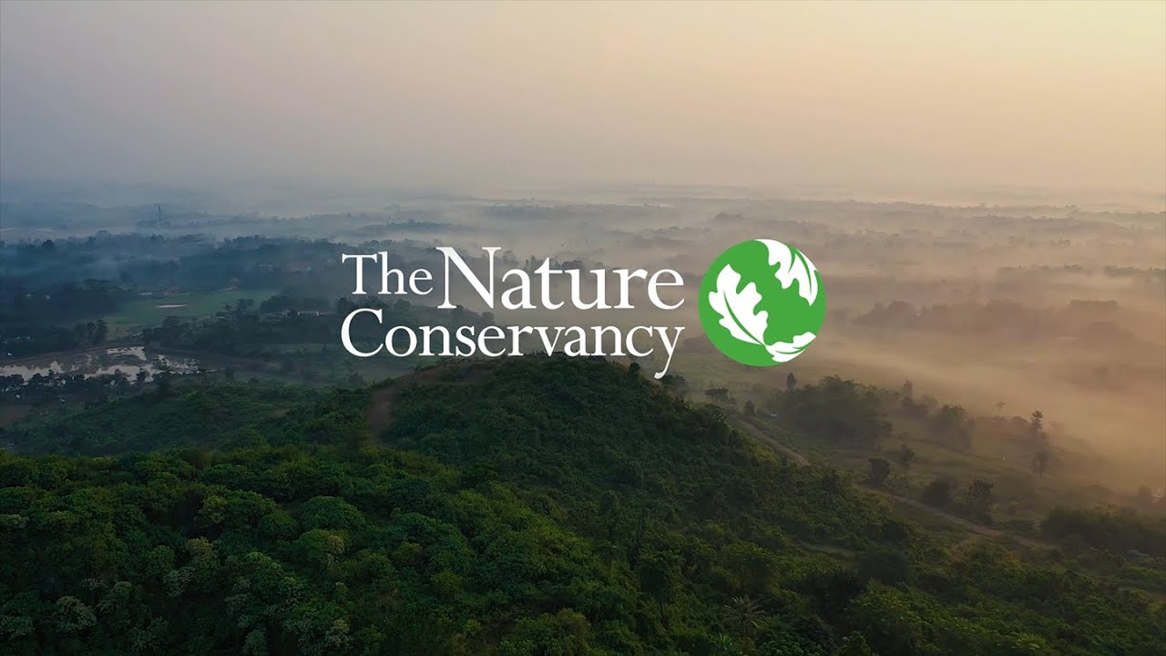 The Nature Conservancy Film