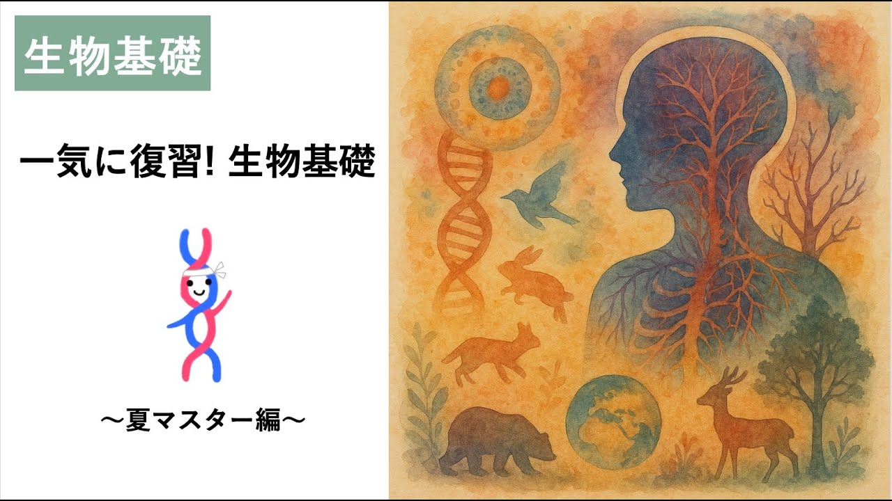 一気に復習！生物基礎〜夏マスター編〜
