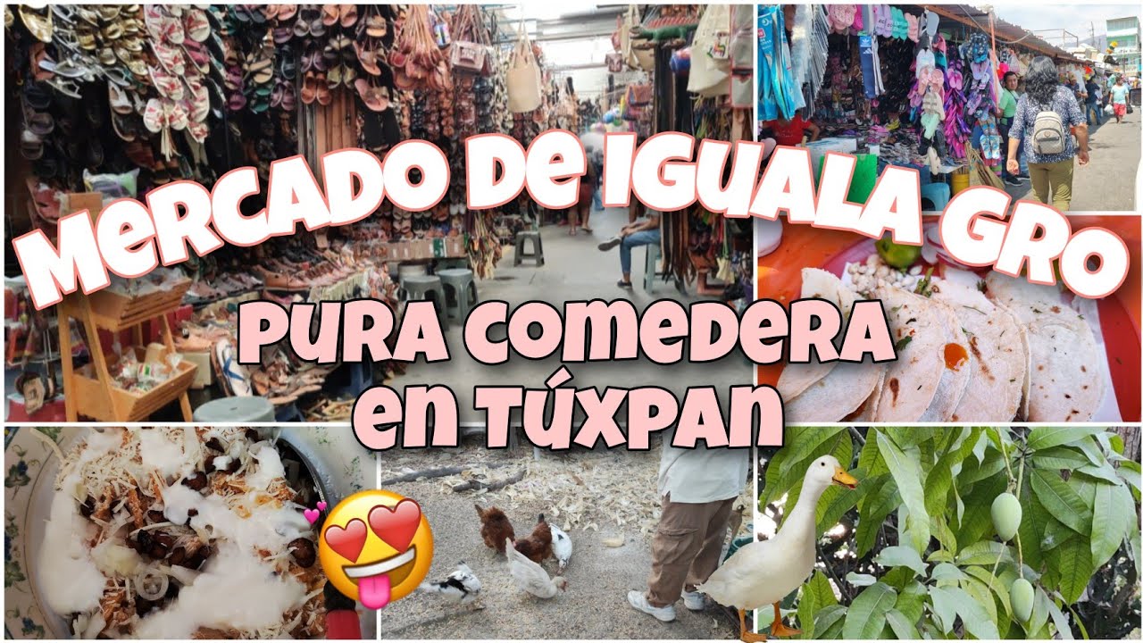 🌸 Pura comedera en Túxpan Guerrero 😋 | En el Mercado de Iguala Gro