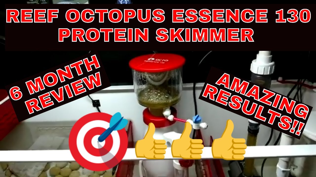Reef Octopus Essence 130 Protein Skimmer - 6 Month Review - Protein Skimmer Update