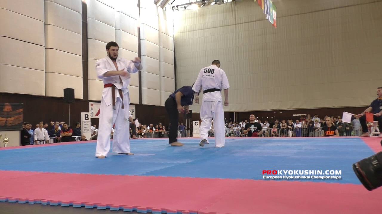 IKO EC 2016, 1/4 -80 Mocanu Catalin-Mihai (Romania) - Andrey Zuborev (Russia, aka)