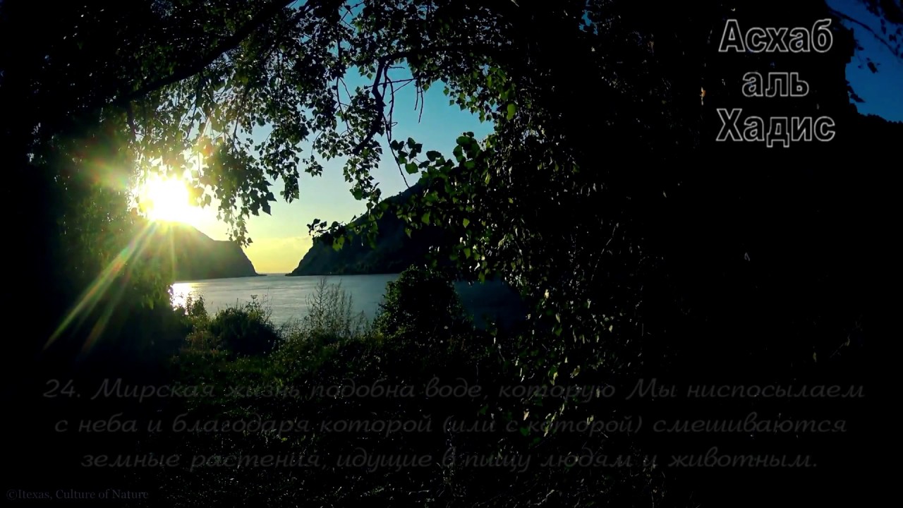 Ибрахим Аль-Джибрин. Сура 10 