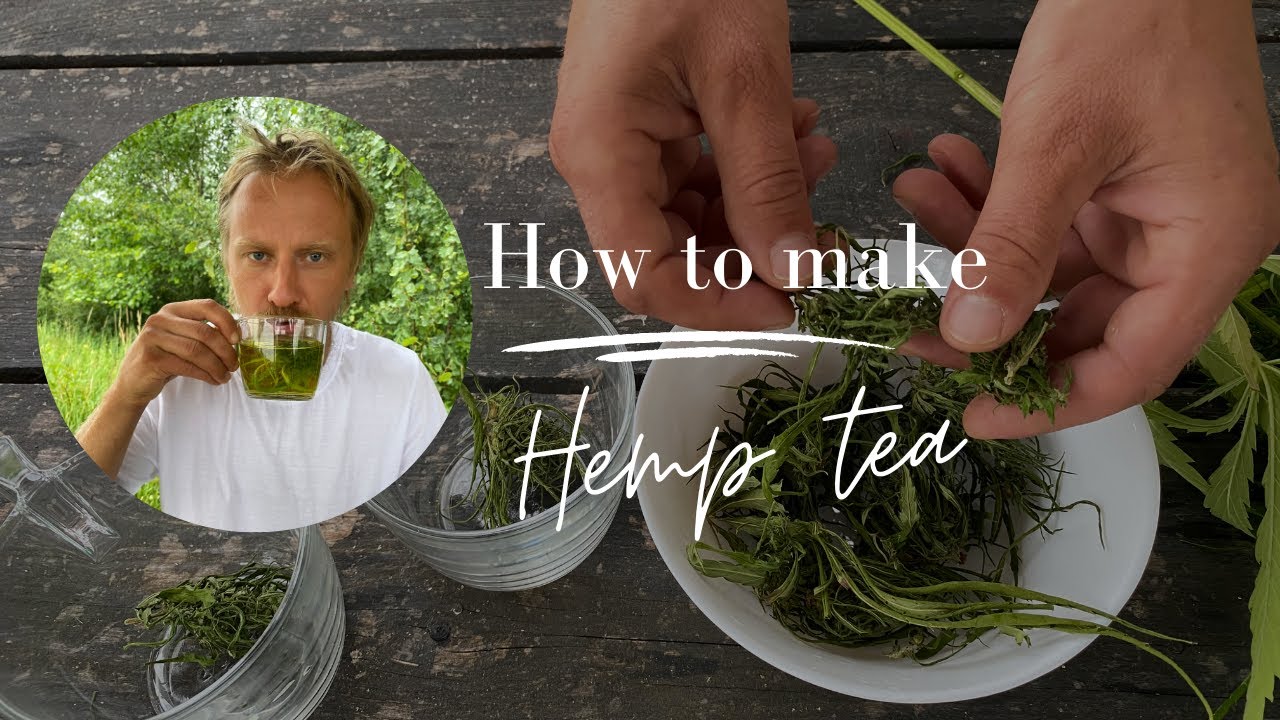 Hemp tea recipe | How to make hemp tea