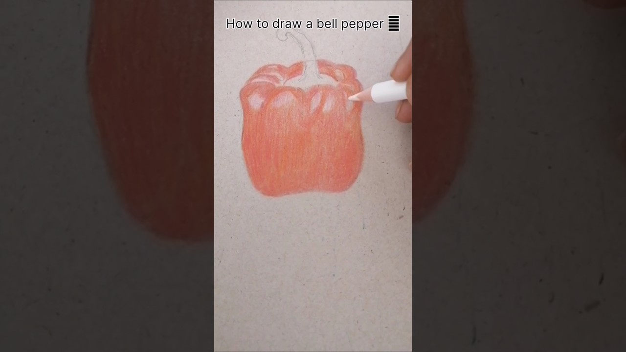 how to draw a bell pepper (capsicum)🫑 #ytshorts #shorts #art #shortyz #bellpepper