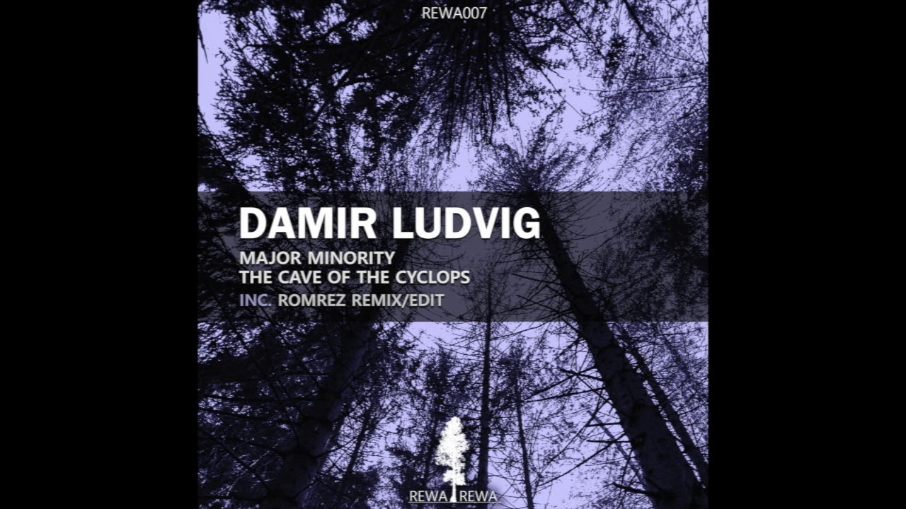 Damir Ludvig  - Major Minority