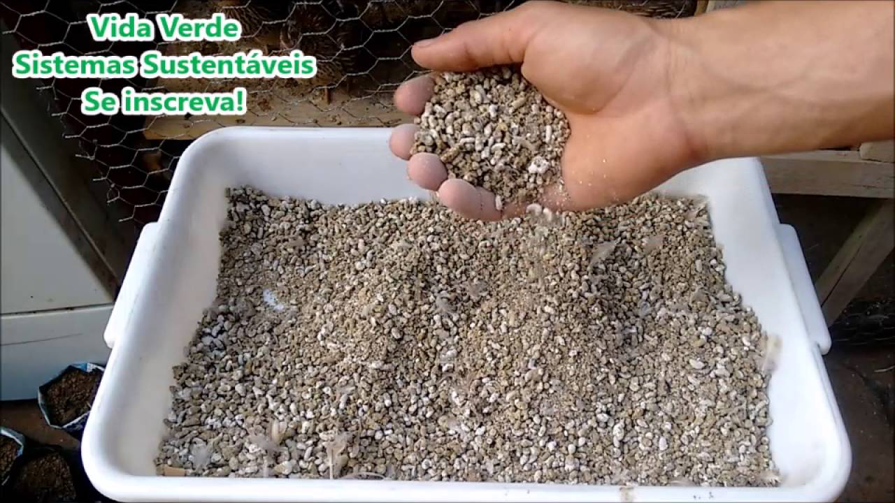 Esterco de Codornas! Conheça os benefícios e aprenda a usar!