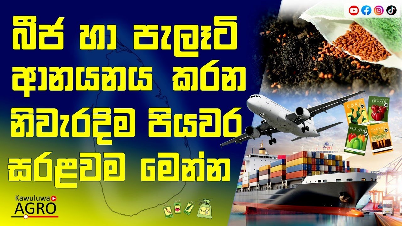 පැලෑටි සහ බීජ ආනයනය කිරීමේ නිවැරදි ක්&zwj;රමය - How to Import Seeds & Plant Products  | Kawuluwa Agro