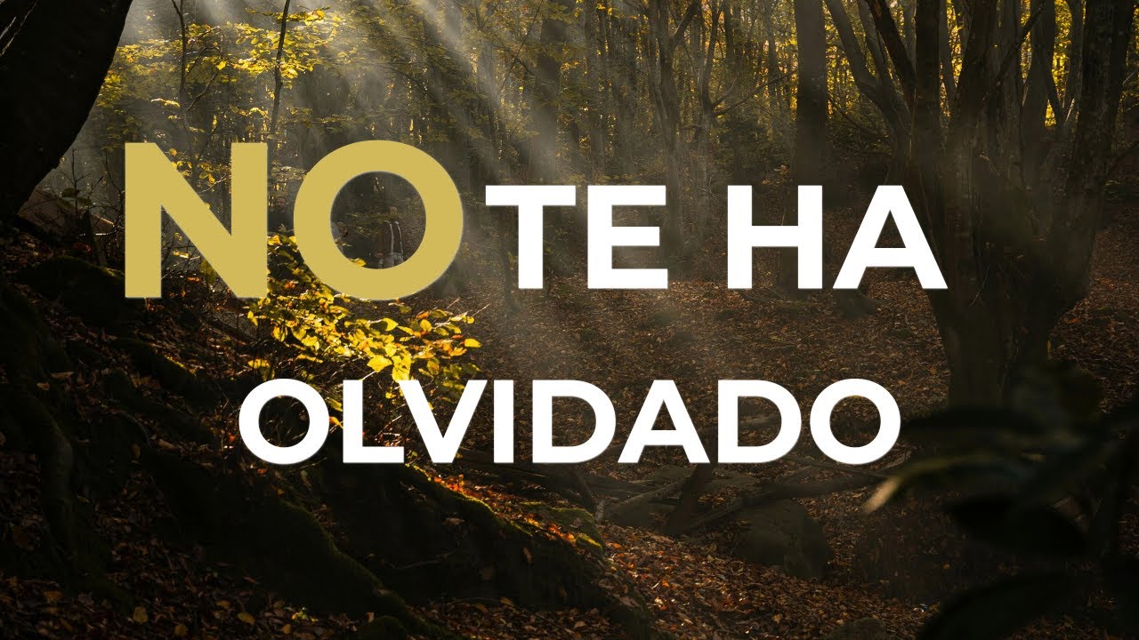 Realidad de un Virgo ♍ Lo que pocos entienden.