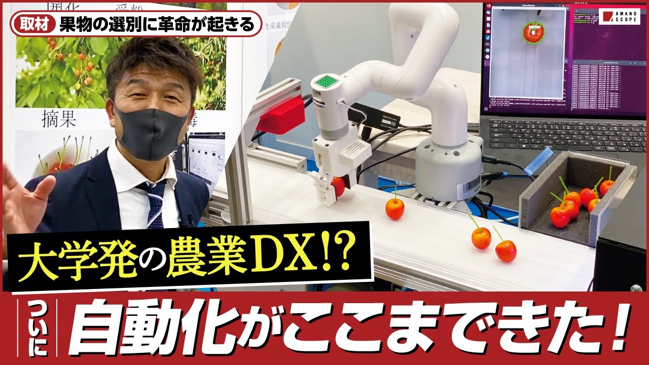現役大学生開発！サクランボの