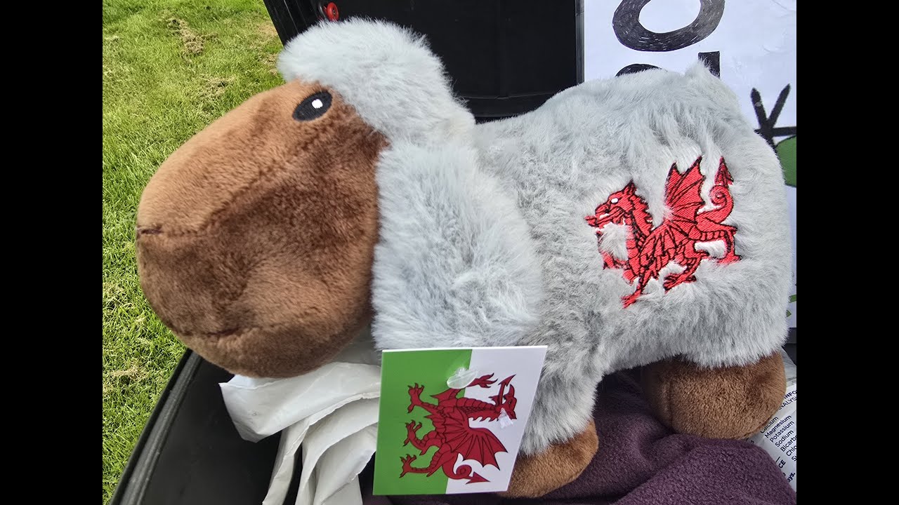 North Wales July 2025