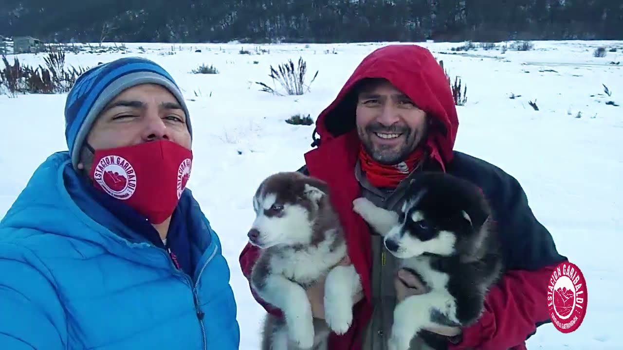 Siberianos De Fuego