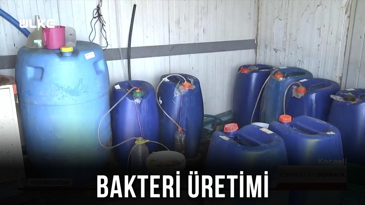 Toprağa Faydalı Bakteriler Nasıl Oluşturulur?😲 - Topraktan Sofraya
