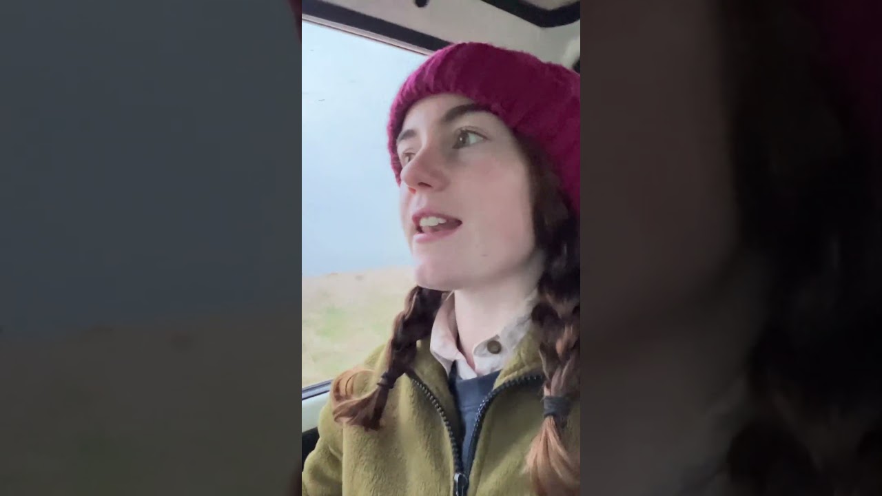 Signs of a Distressed Sheep (Lambing Ewe)