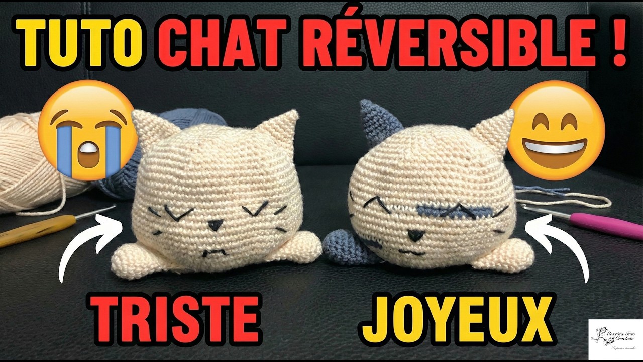Tuto chat réversible au crochet
