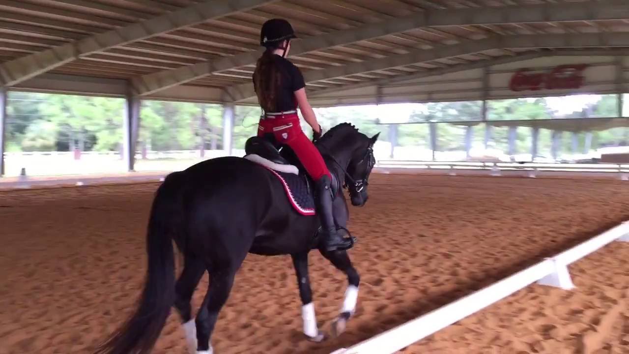 Improving trot lengthenings with Laura Graves