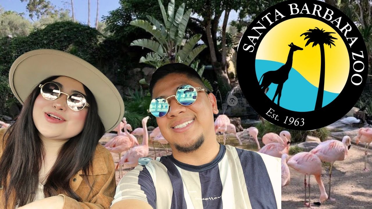 WE FED GIRAFFES AT THE SANTA BARBARA ZOO!