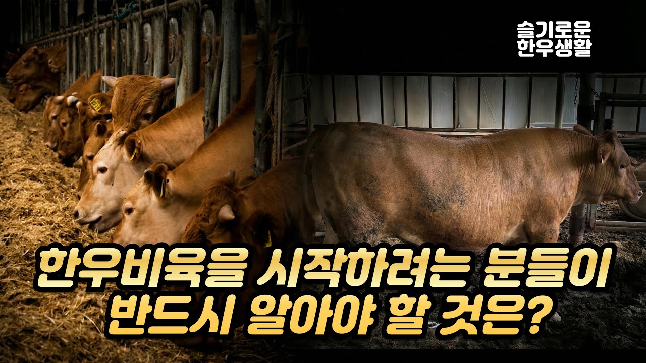 한우비육을 시작하려는 분들이 반드시 알아야 할 것은?