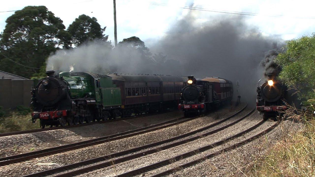 Great Steam Train Race 2010 -3 Locos Vs Tiger Moth Planes - HD