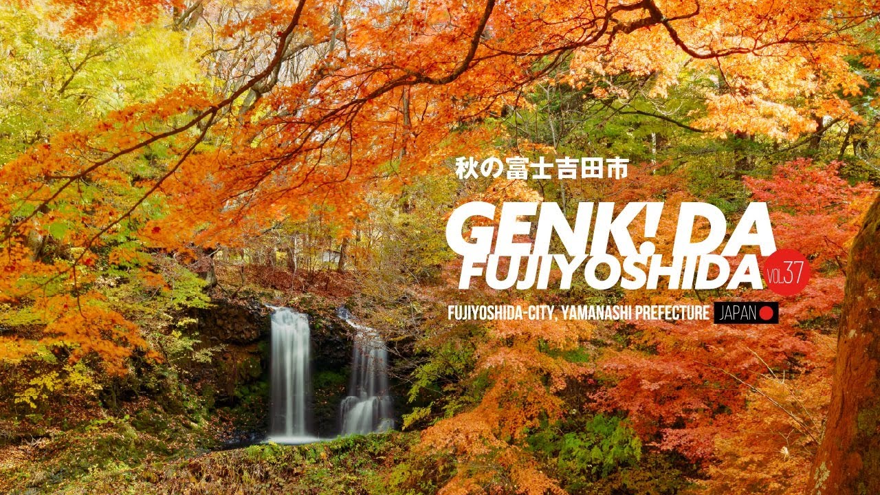 ［広報ふじよしだ］元気！だふじよしだ12月号は富士吉田市の紅葉です。是非ご視聴ください。