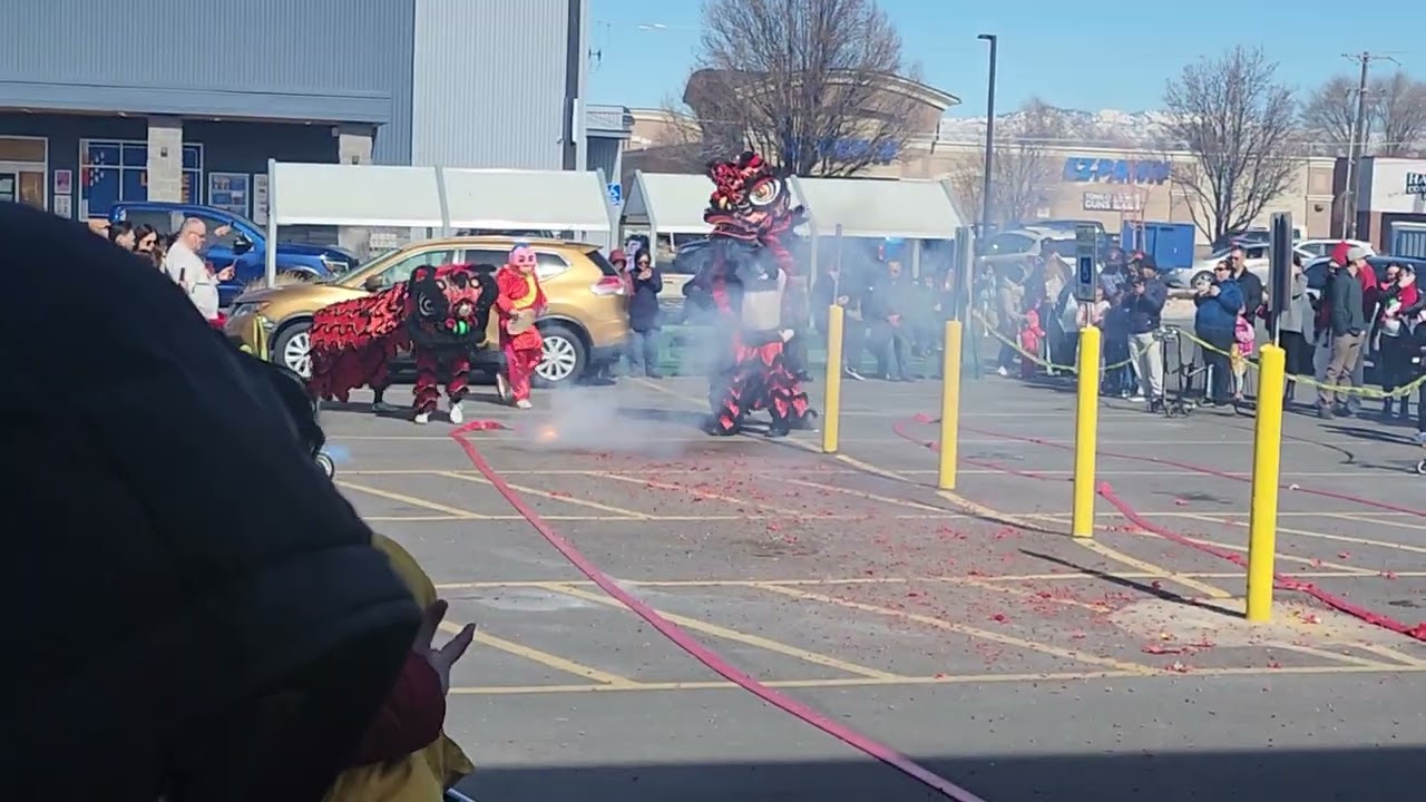 Chinese New Year, Long An Market 2026 ☆Lion Dance /w Fireworks☆