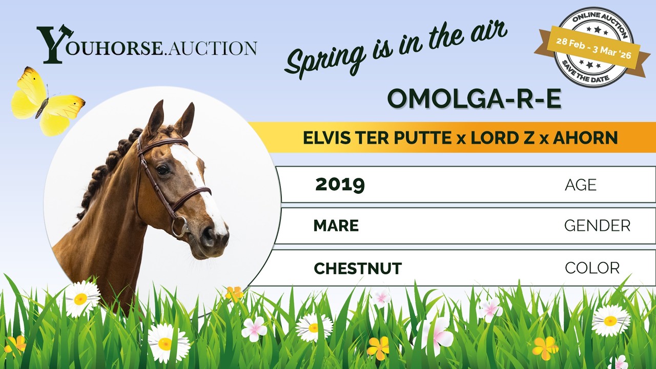 Omolga showvideo indoor