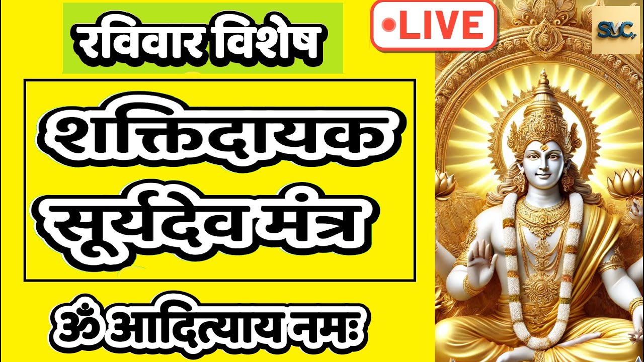 LIVE : 