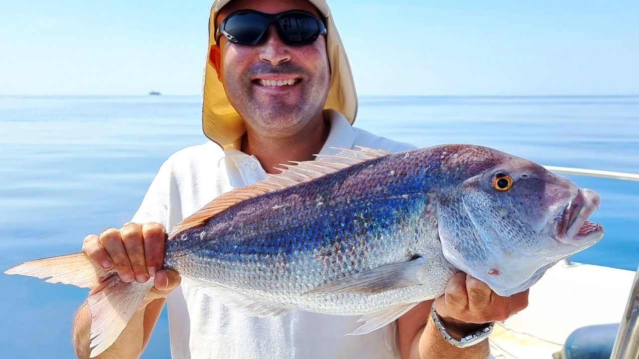 Pêche Palangrotte Denti, Pagre et Mérou à Hammamet Tunisie | Slow Jigging Technique
