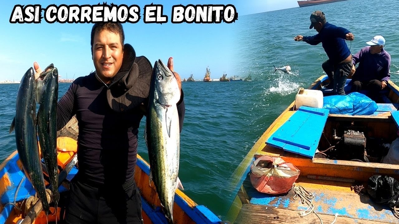 ASI ES LA FAMOSA PESCA DEL BONITO | AQUI EN EL CALLAO Y VENTANILLA | Tablita Fishing