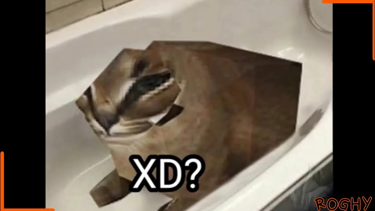 Uns MEMES e SHITPOST ae Compilado #49
