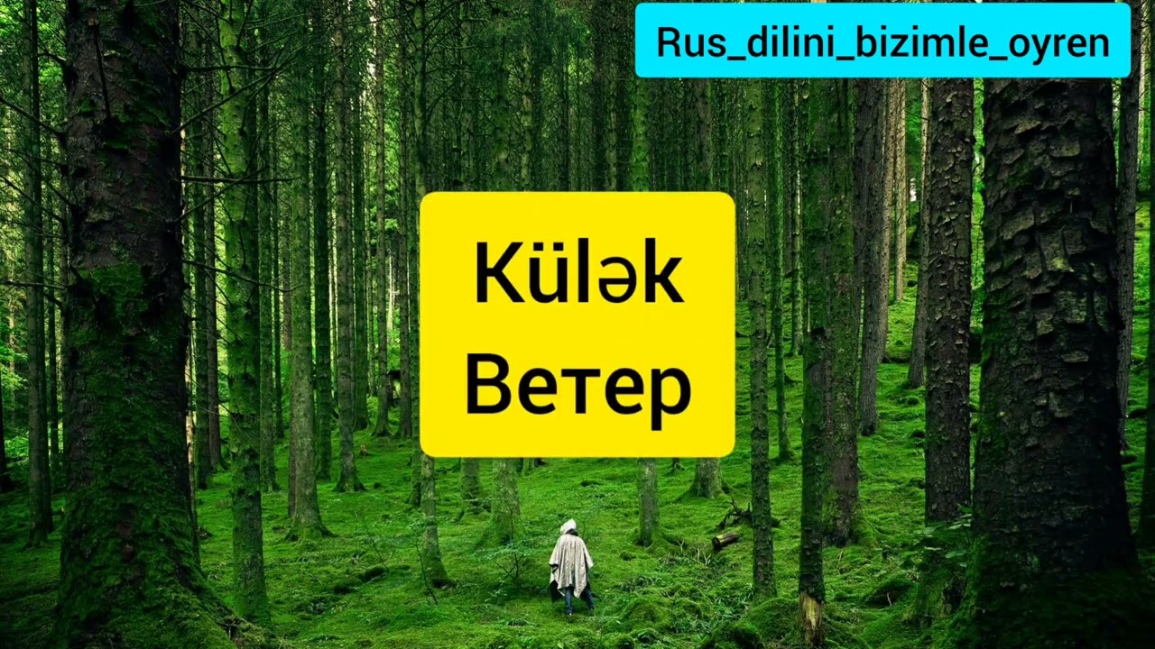 Rus dilində ən çox işlənən 100 söz | Birinci hissə